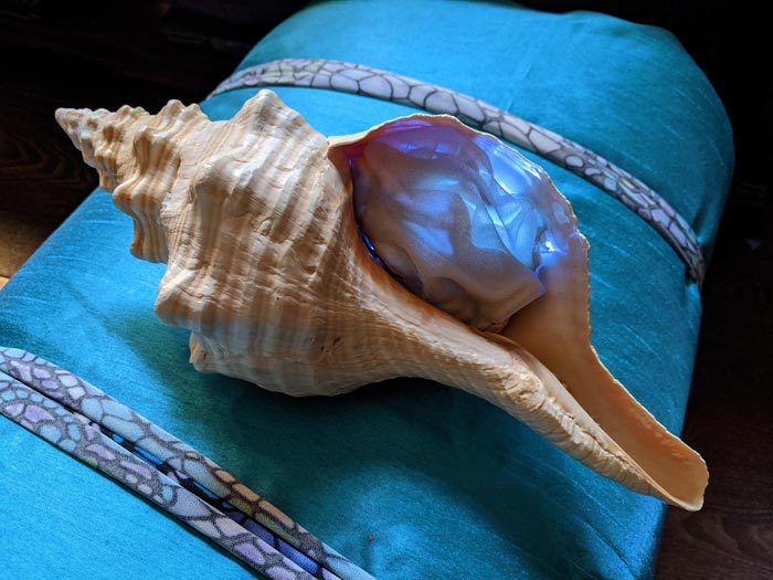 finished interactive seashell