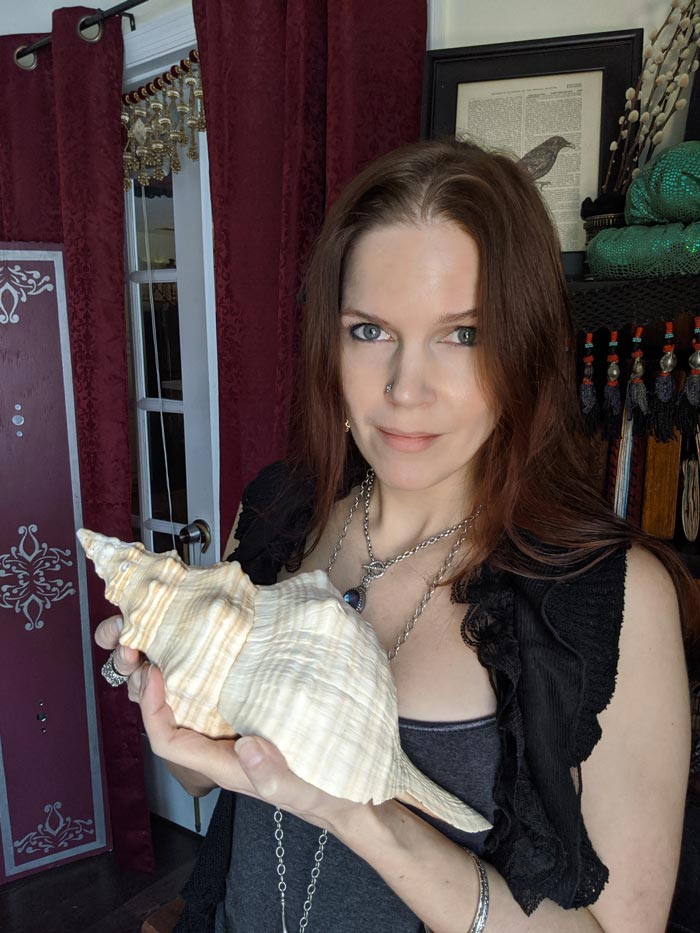 finished interactive seashell